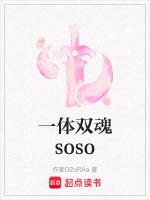 一体双魂soso