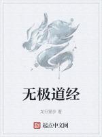 无极道经