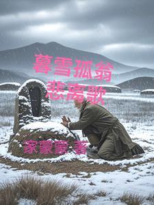 暮雪孤翁悲离歌